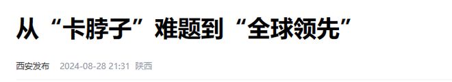 米乐M6：2024全球高端芯片厂差距断崖：美国7家韩国0家中国令人意外！(图17)