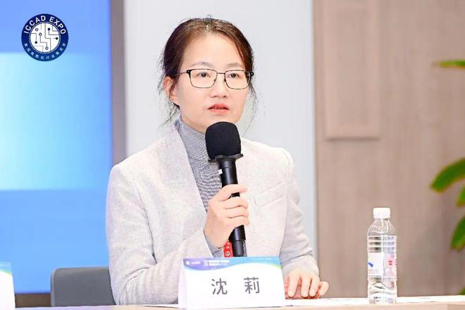 ICCAD2024：中国芯片设计业现状、挑战与展望(图10)