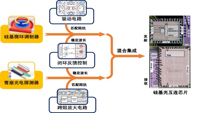 恭喜西安光机所！在光子集成芯片领域取得系列进展！(图4)
