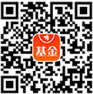 嘉实中证芯片产业指数发起式C