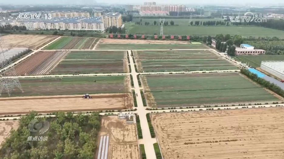 米乐M6：焦点访谈｜攥紧农业“芯片”提稳中国“菜篮子”(图6)