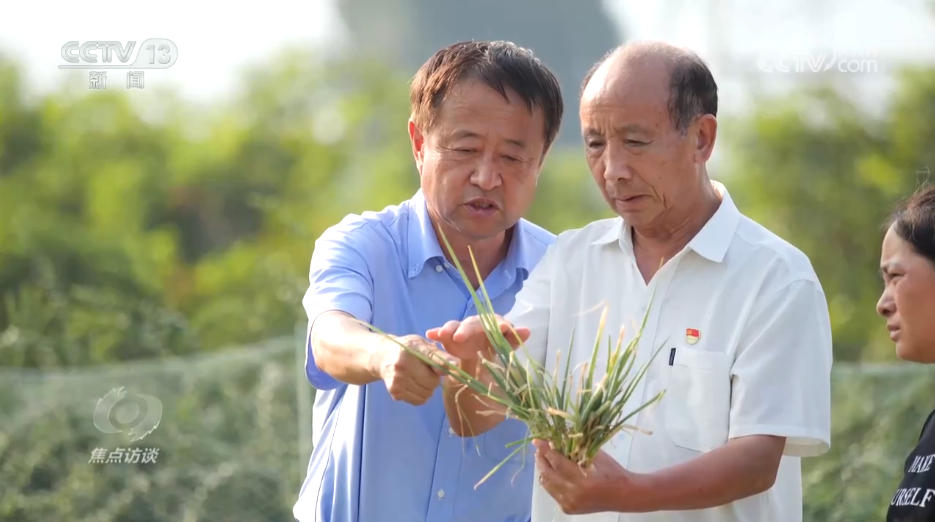 米乐M6：焦点访谈｜攥紧农业“芯片”提稳中国“菜篮子”(图5)