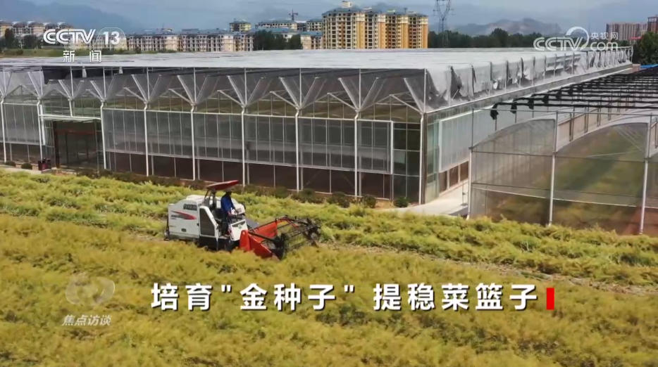 米乐M6：焦点访谈｜攥紧农业“芯片”提稳中国“菜篮子”(图7)