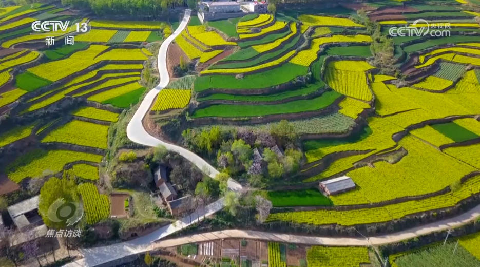 米乐M6：焦点访谈｜攥紧农业“芯片”提稳中国“菜篮子”(图8)