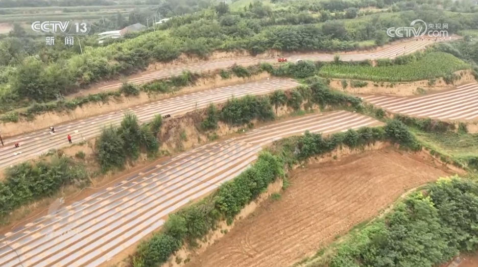 米乐M6：焦点访谈｜攥紧农业“芯片”提稳中国“菜篮子”