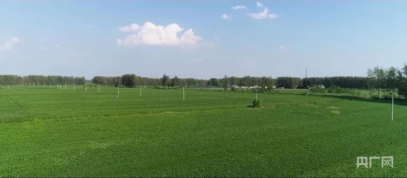 米乐M6：宿州市埇桥区：攥紧“中国芯片”端稳“中国饭碗”