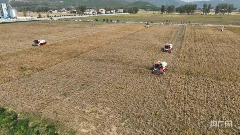 米乐M6：宿州市埇桥区：攥紧“中国芯片”端稳“中国饭碗”(图3)