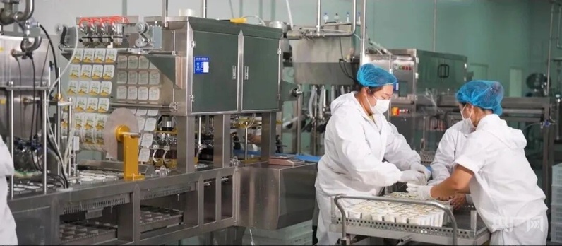 米乐M6：宿州市埇桥区：攥紧“中国芯片”端稳“中国饭碗”(图4)